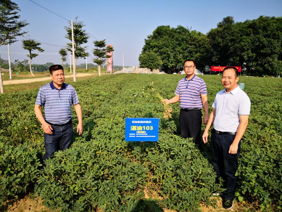 广东省花生大豆产业技术体系