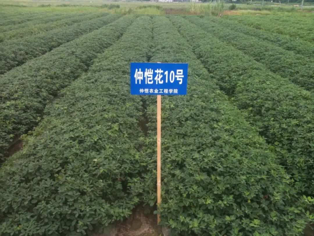 29C86